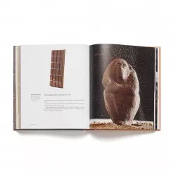 Casa Cacao - The journey...
